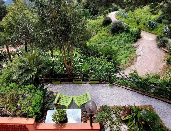 Villetta Dei Fichi D'India Rio dellʼElba Exterior foto